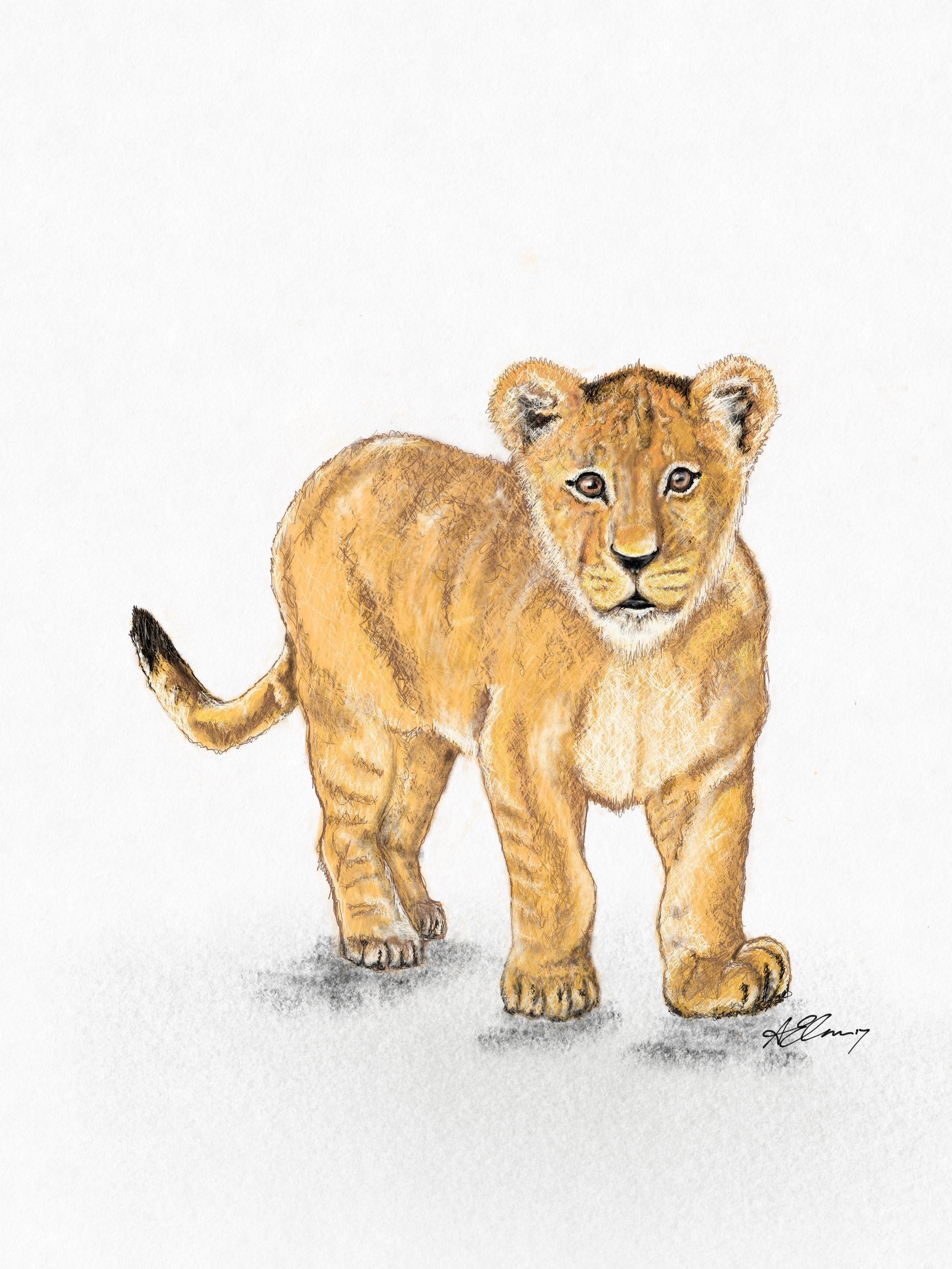 Emmy's Lion 2017 Birthday Gift - ElmsCreative