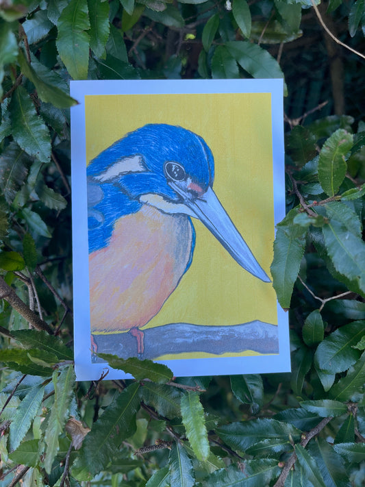 The Bird Cards - Kingfisher - ElmsCreative