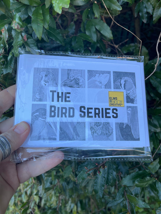 The Bird Cards Series - Pack of 8 - ElmsCreative