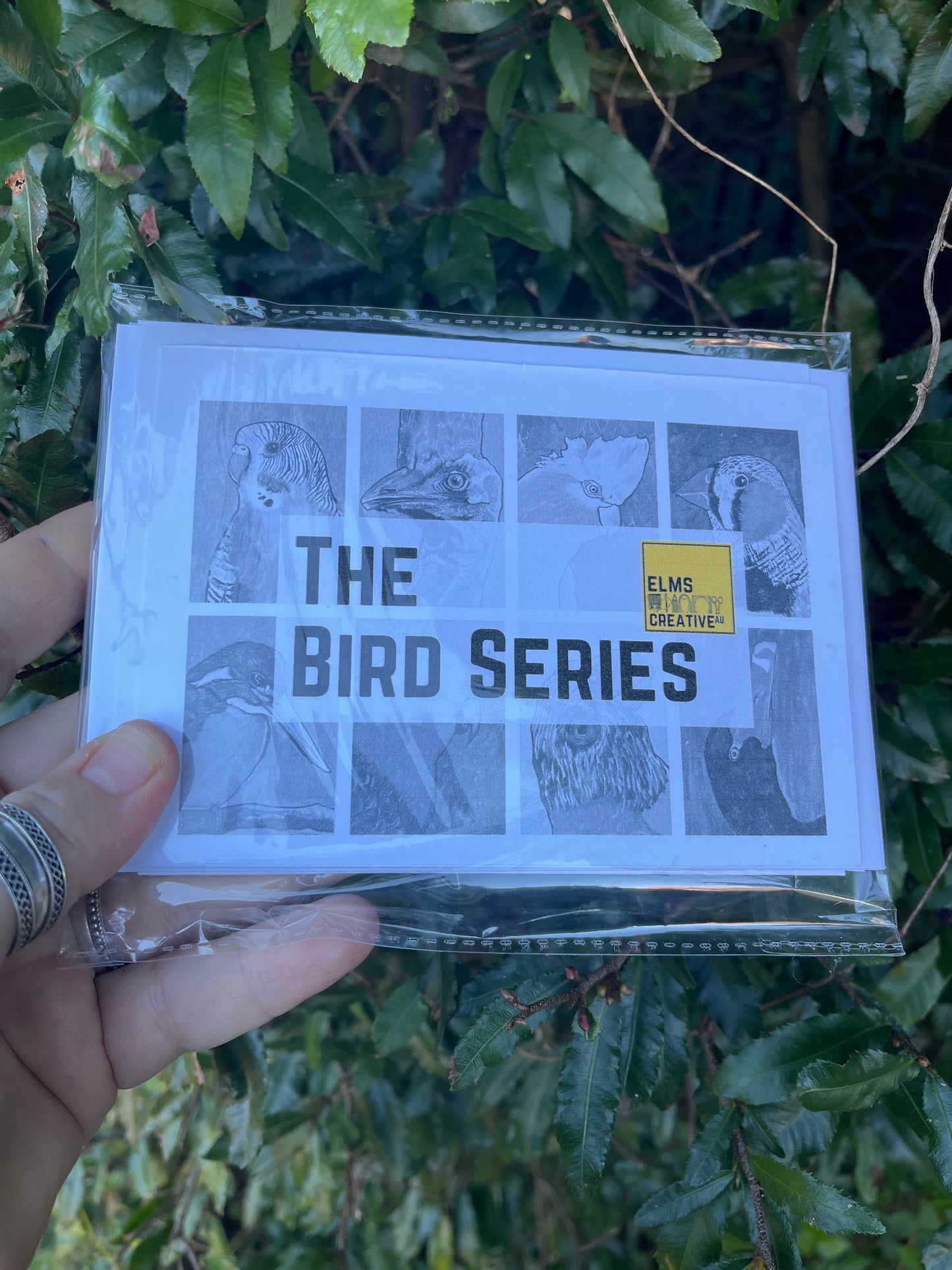 The Bird Cards - Rainbow Lorikeet - ElmsCreative