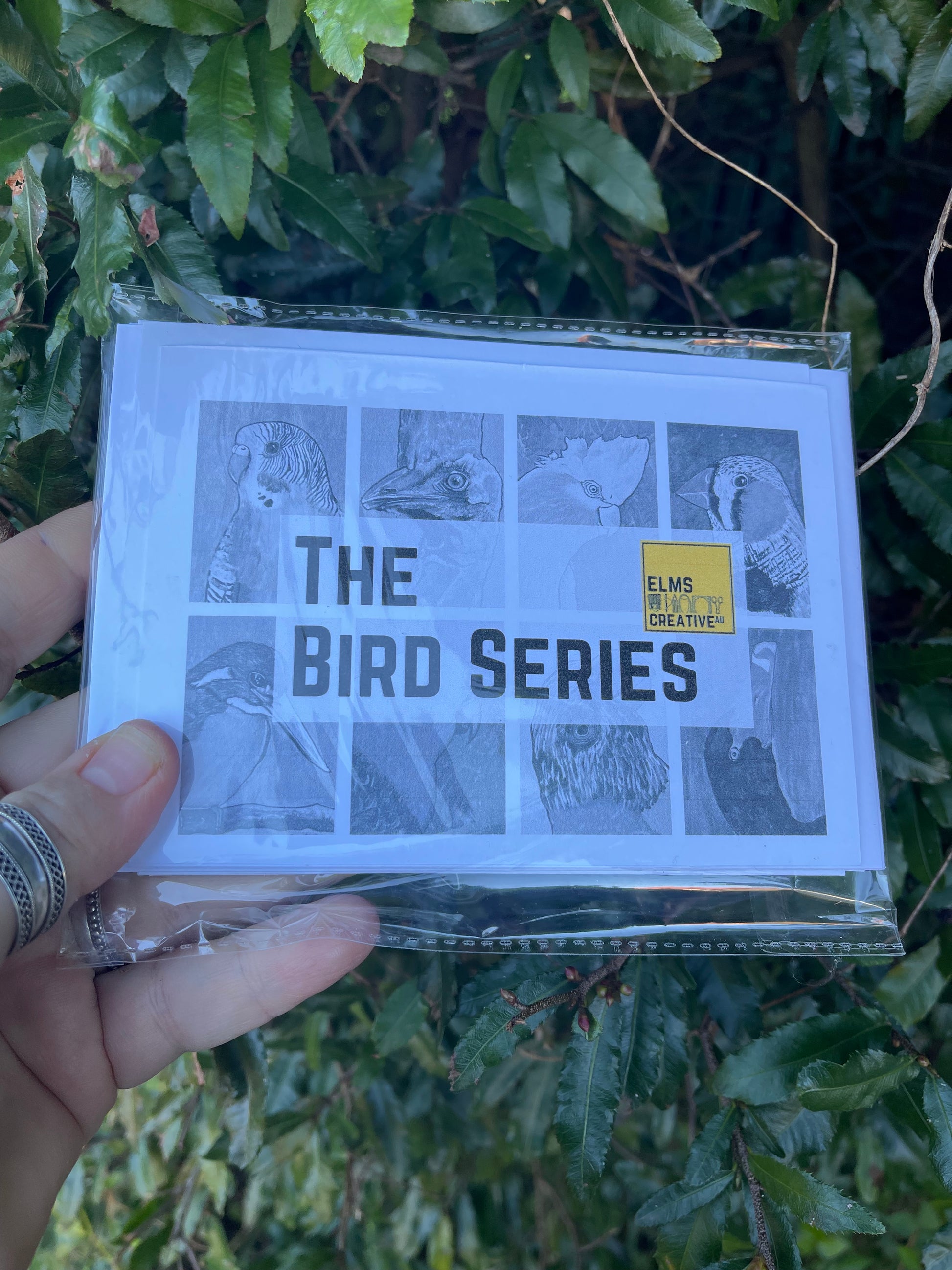The Bird Cards - Galah - ElmsCreative