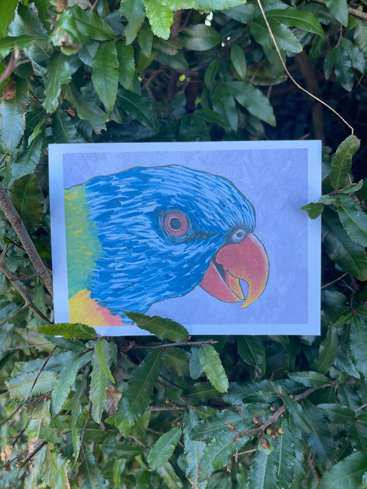 The Bird Cards - Rainbow Lorikeet - ElmsCreative