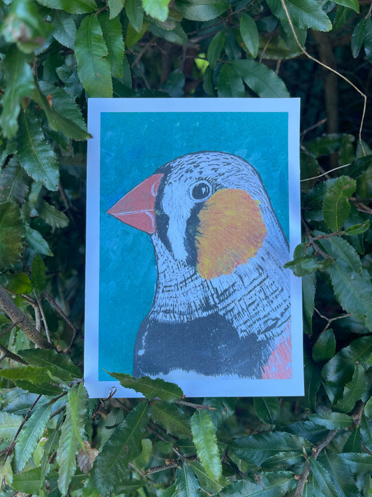 The Bird Cards - Zebra Finch - ElmsCreative