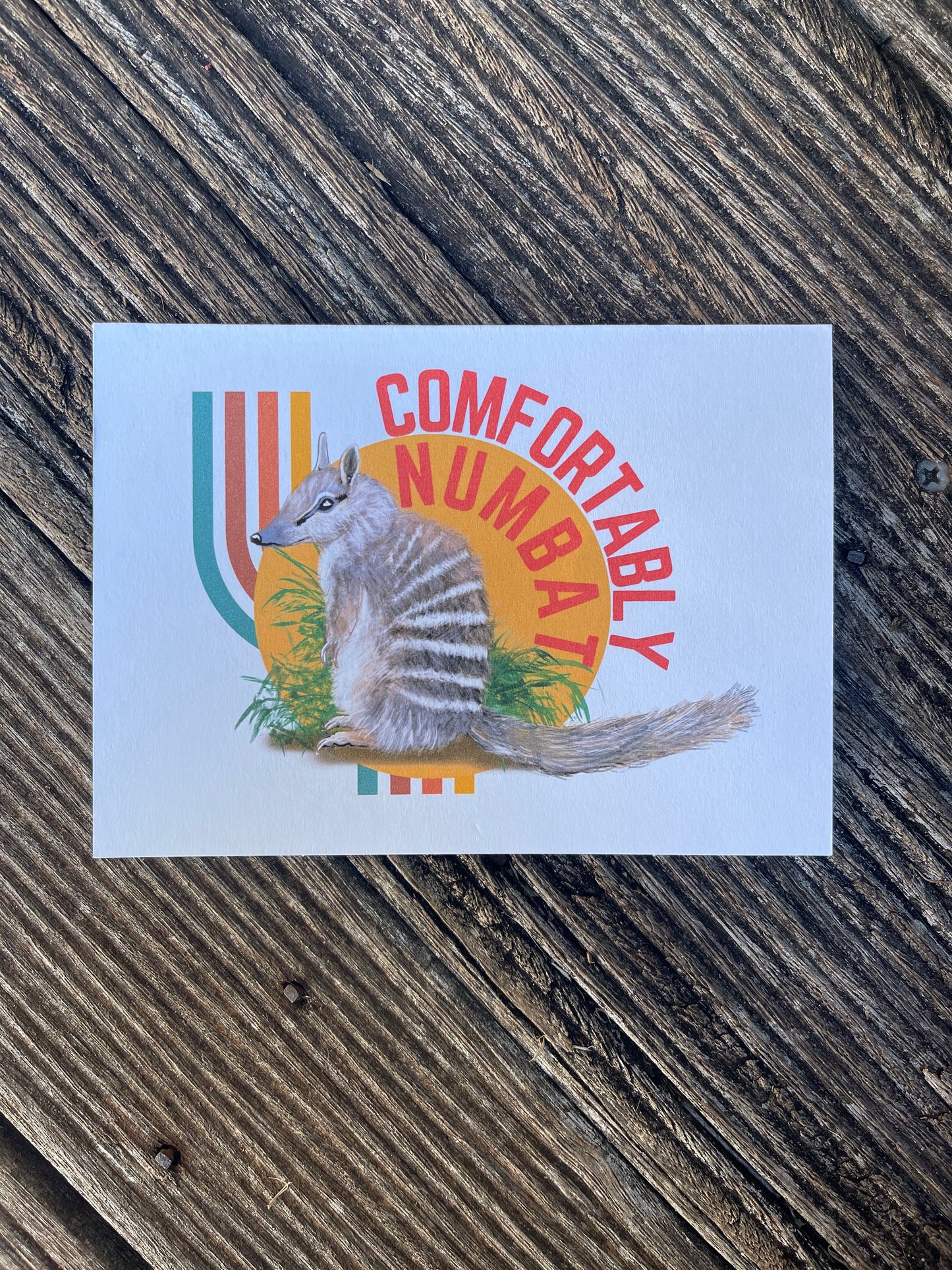 It’s So Punny - Comfortably Numb - Numbat - ElmsCreative