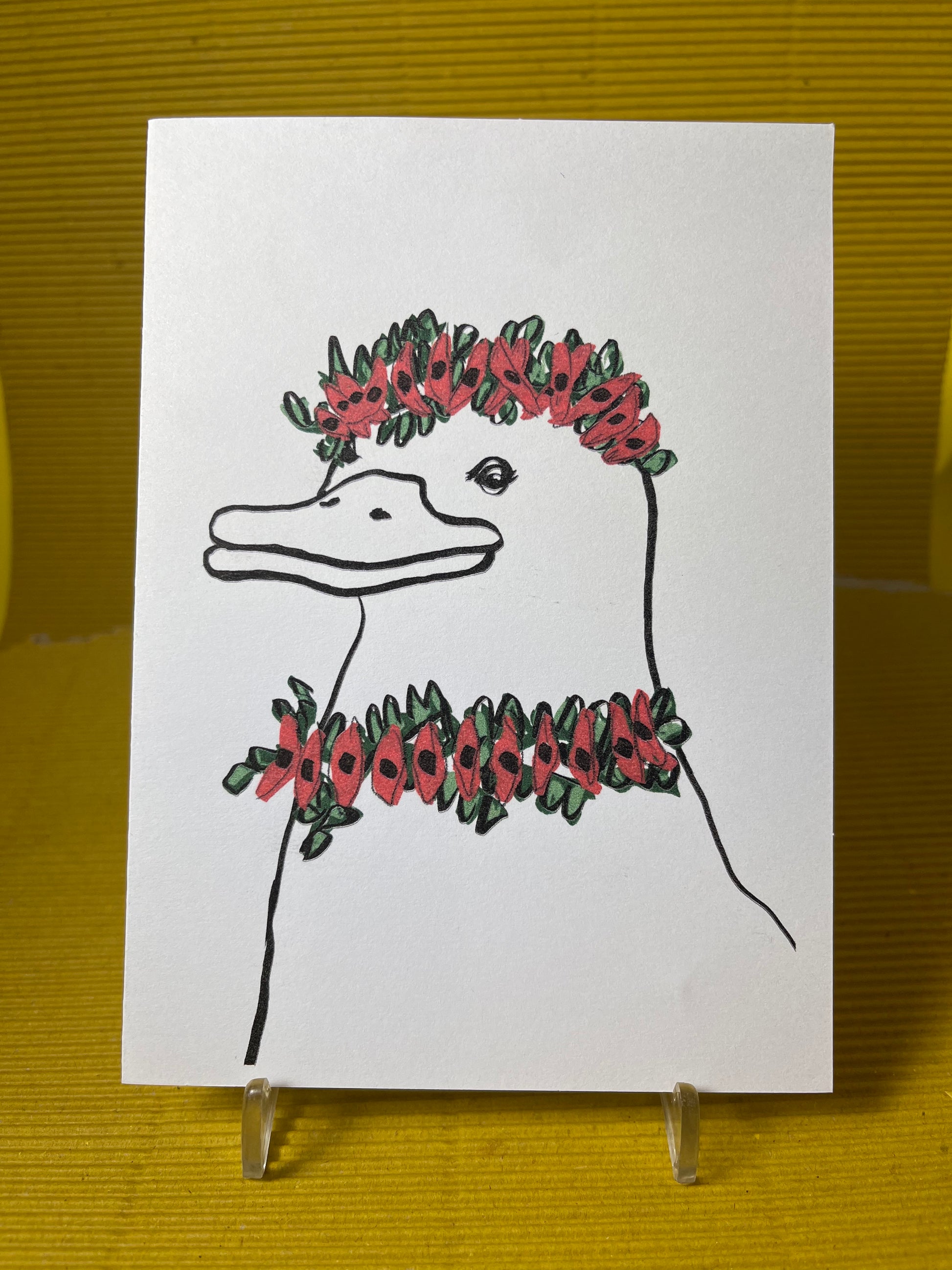 Platypus Flora and Fauna Card Pack - Native Australian Flowers and Animals - ElmsCreative