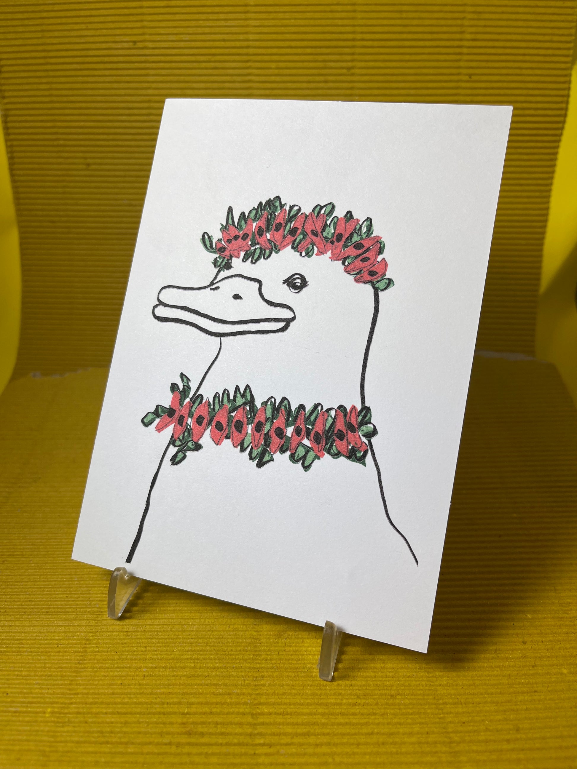 Platypus Flora and Fauna Card Pack - Native Australian Flowers and Animals - ElmsCreative