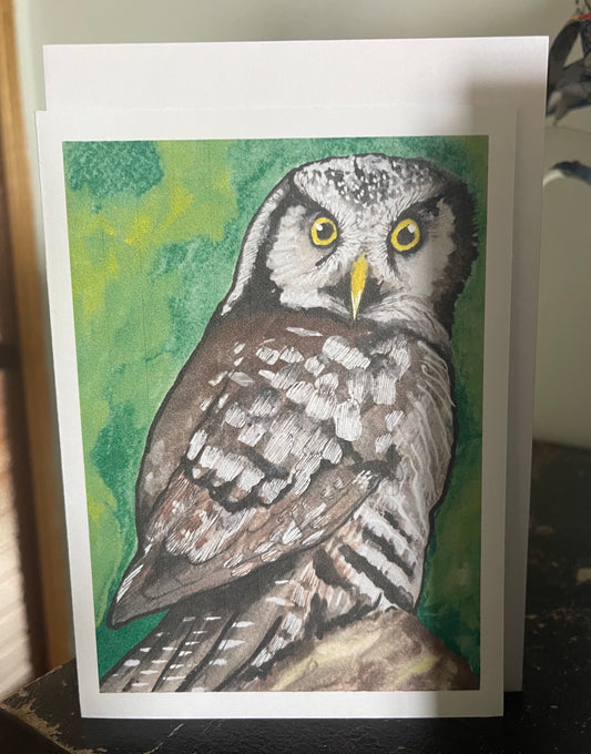 Hawk Owl Card - ElmsCreative