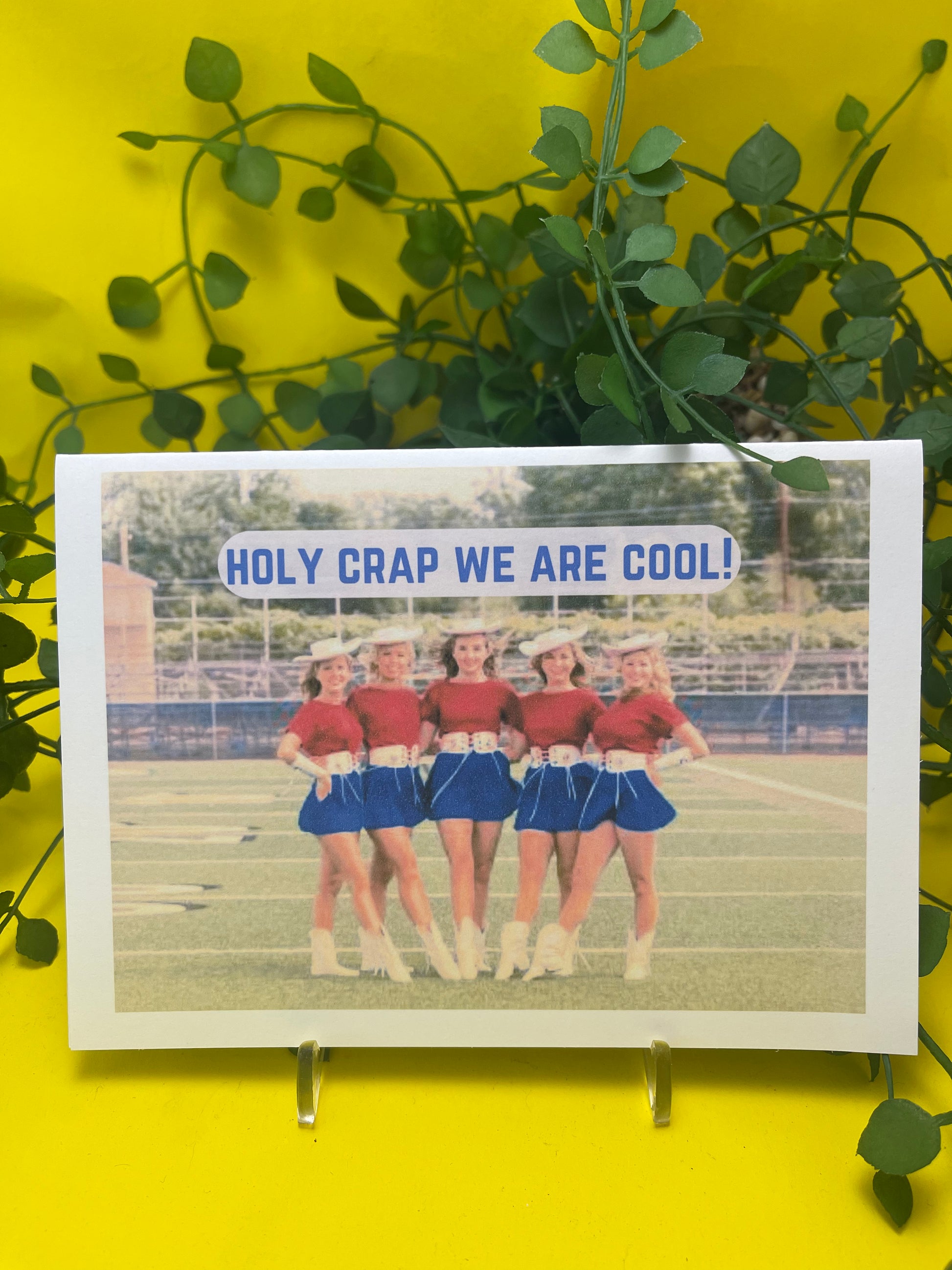 "Holy Crap we are cool" - Sassy Card - ElmsCreative