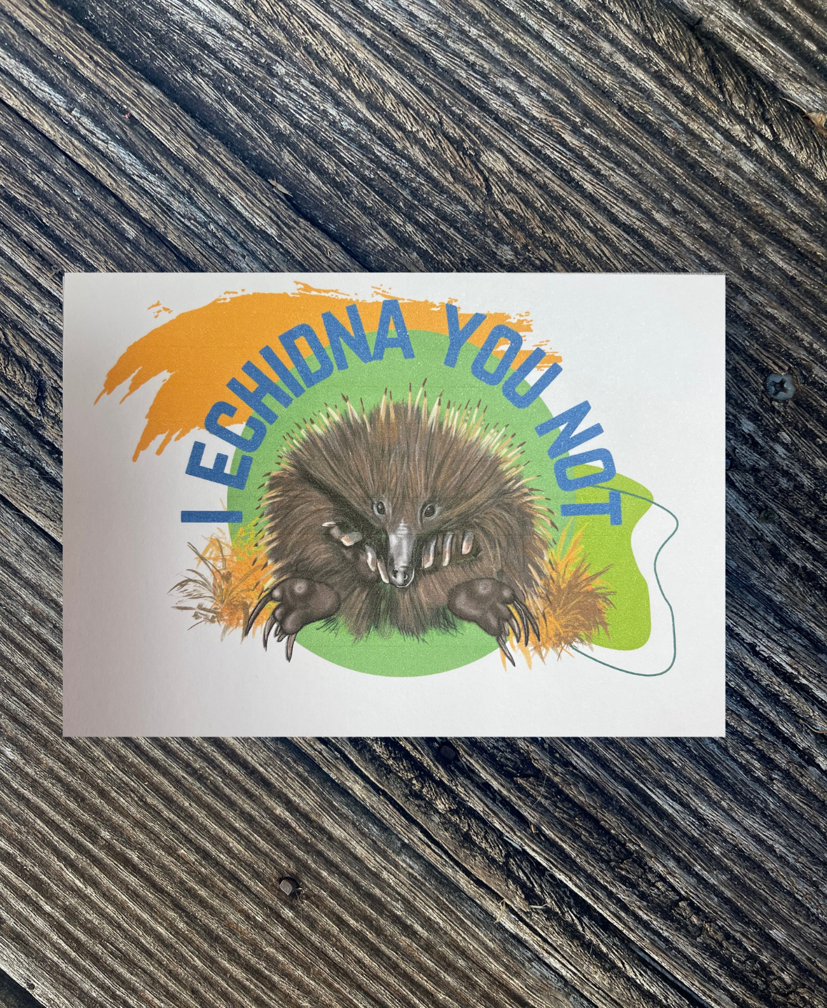 It’s So Punny - I Echidna You Not - Echidna - ElmsCreative