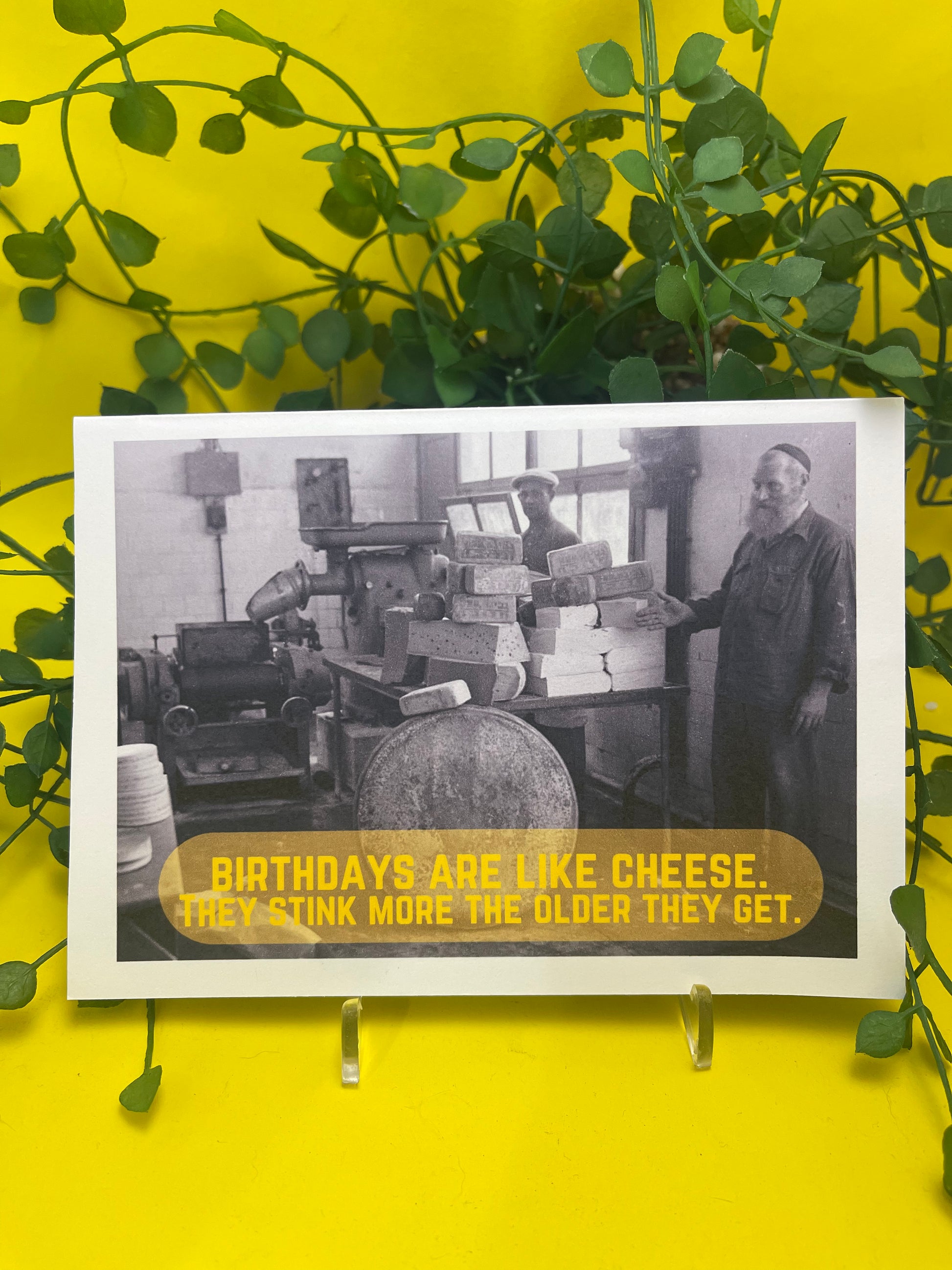 "Birthdays are like cheese"- Sassy Card - ElmsCreative