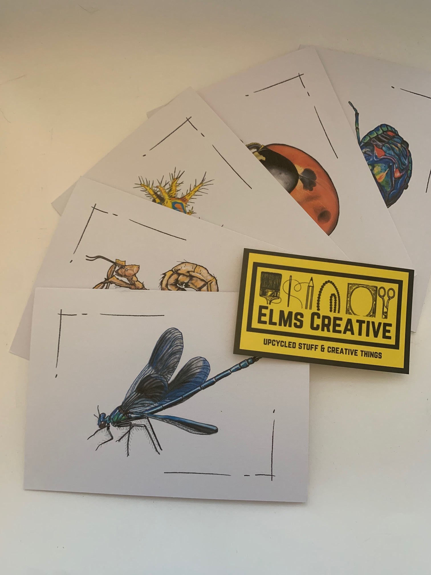 The Bug Cards- Pack of 10 - ElmsCreative