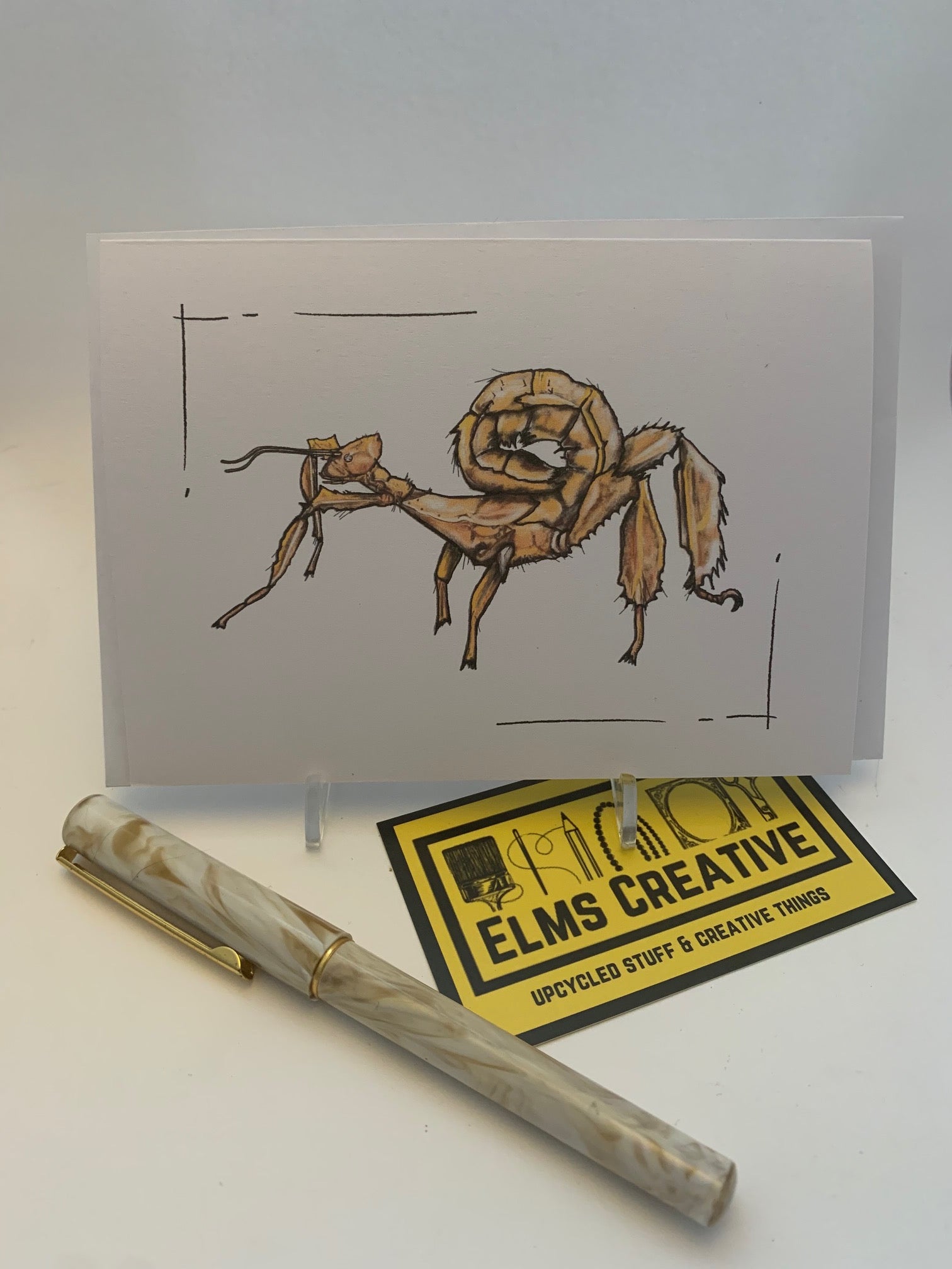 The Bug Cards- Pack of 10 - ElmsCreative