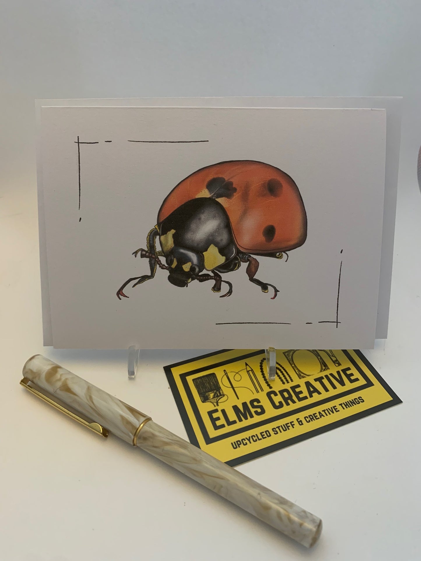 The Bug Cards- Pack of 10 - ElmsCreative