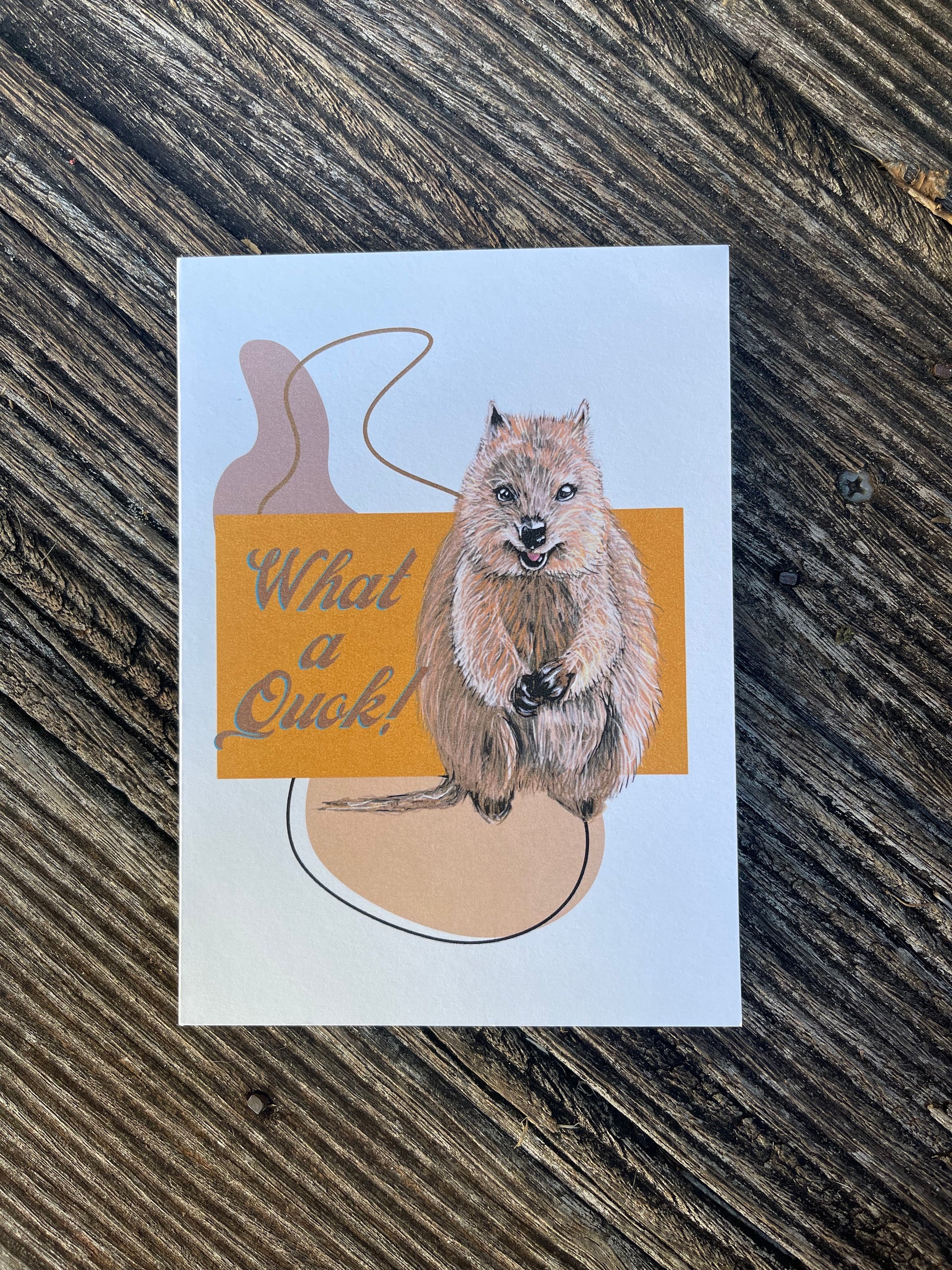 It’s So Punny - Aussie Animals - Pack of 10 Blank Cards - ElmsCreative