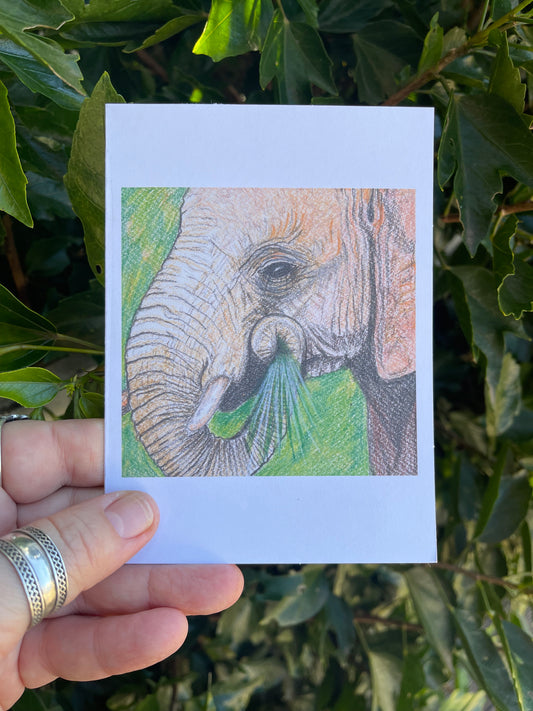 Wildlife in Pencil - Elephant - Blank Card - ElmsCreative
