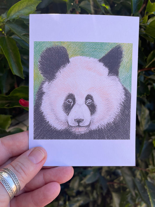 Wildlife in Pencil - Panda - Blank Card - ElmsCreative