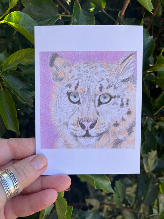 Wildlife in Pencil - Snow Leopard  - Blank Card - ElmsCreative