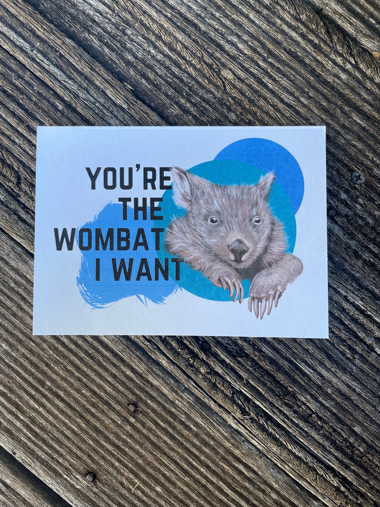 It’s So Punny - Aussie Animals - Pack of 10 Blank Cards - ElmsCreative