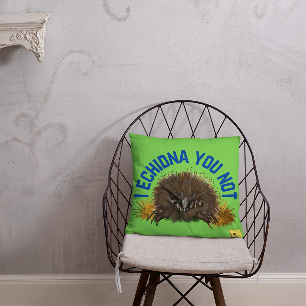 I Echidna you not - Green Echidna Pun Cushion - ElmsCreative