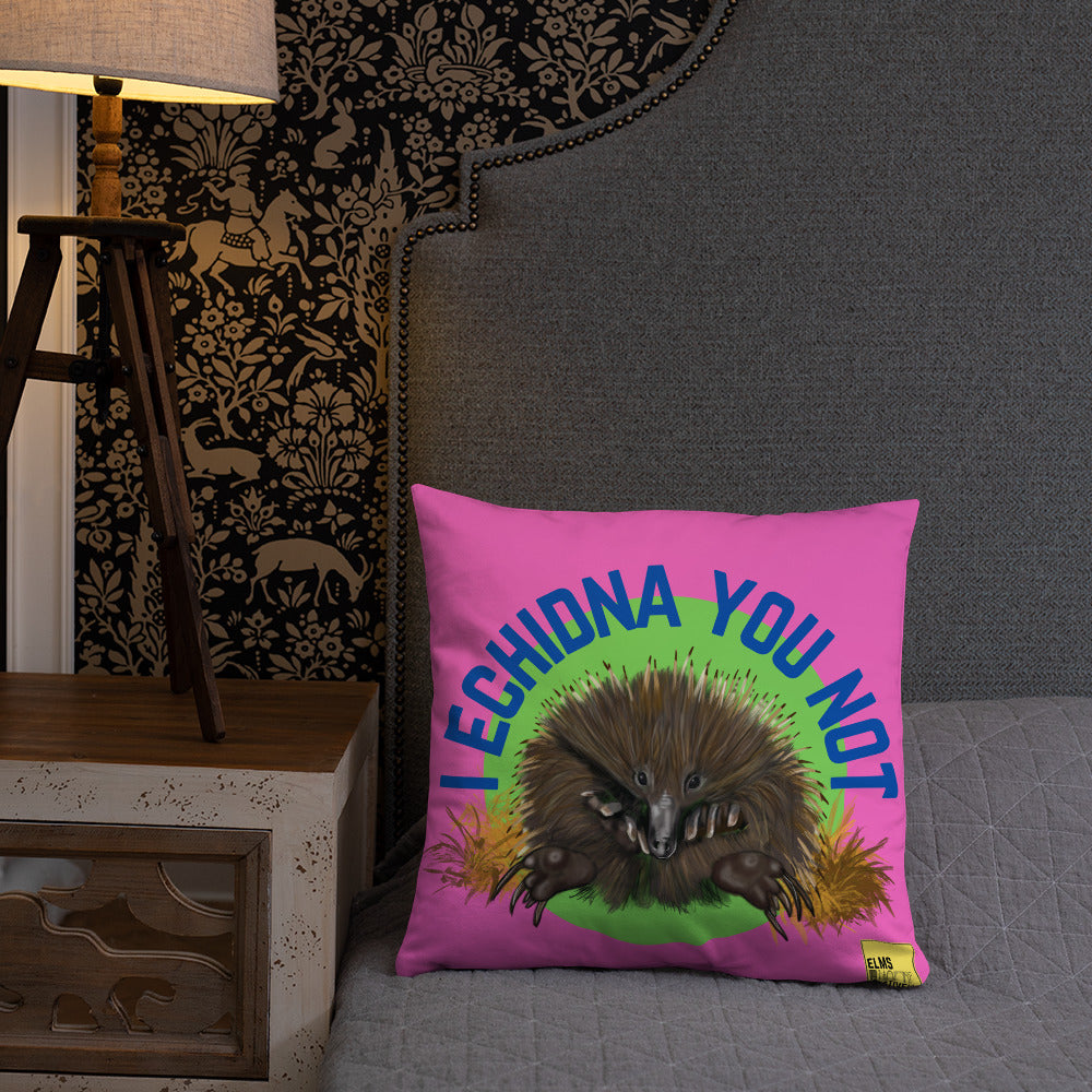 I Echidna you not - Pink Echidna Pun Cushion - ElmsCreative