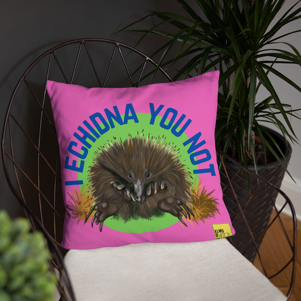 I Echidna you not - Pink Echidna Pun Cushion - ElmsCreative