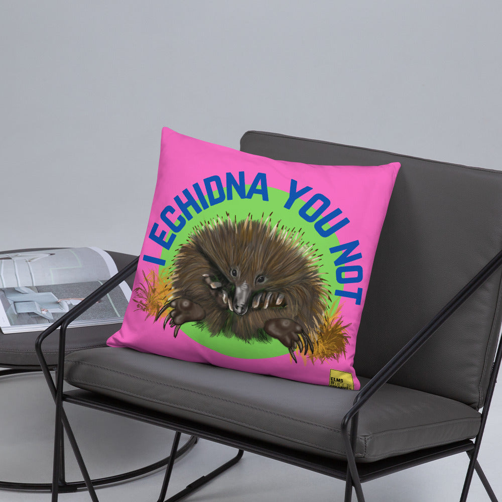 I Echidna you not - Pink Echidna Pun Cushion - ElmsCreative