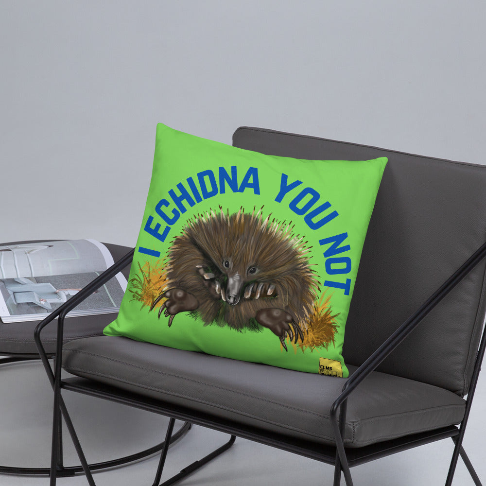 I Echidna you not - Green Echidna Pun Cushion - ElmsCreative