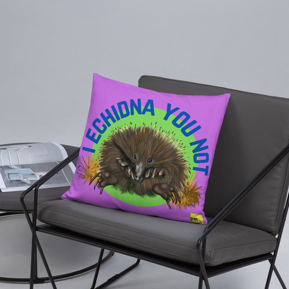 I Echidna you not - Purple Echidna Pun Cushion - ElmsCreative