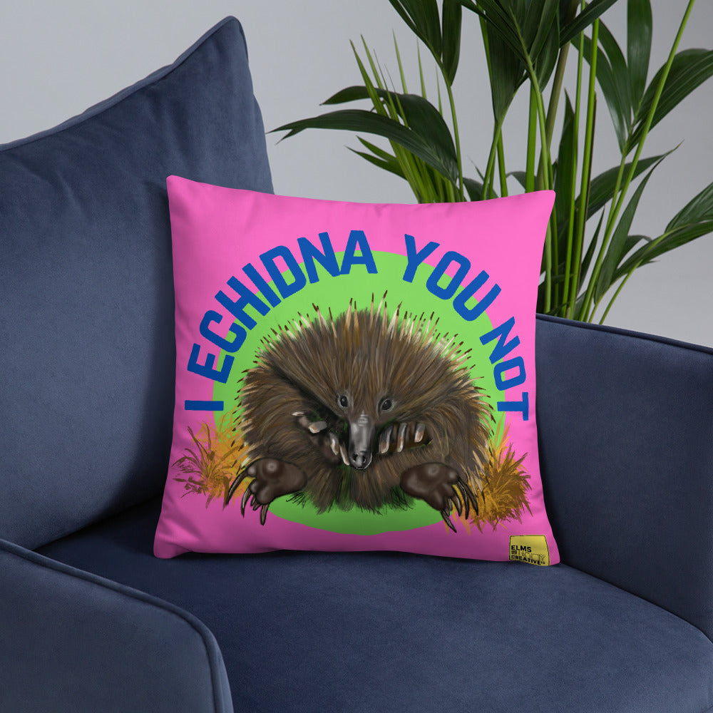 I Echidna you not - Pink Echidna Pun Cushion - ElmsCreative