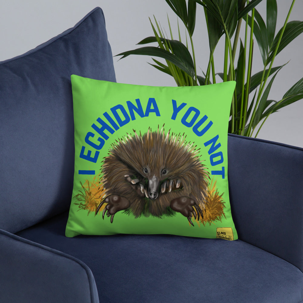 I Echidna you not - Green Echidna Pun Cushion - ElmsCreative