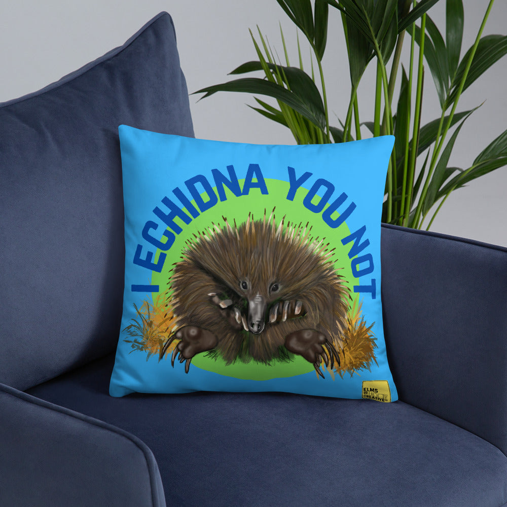 I Echidna you not - Blue Echidna Pun Cushion - ElmsCreative