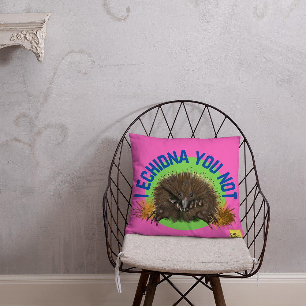 I Echidna you not - Pink Echidna Pun Cushion - ElmsCreative