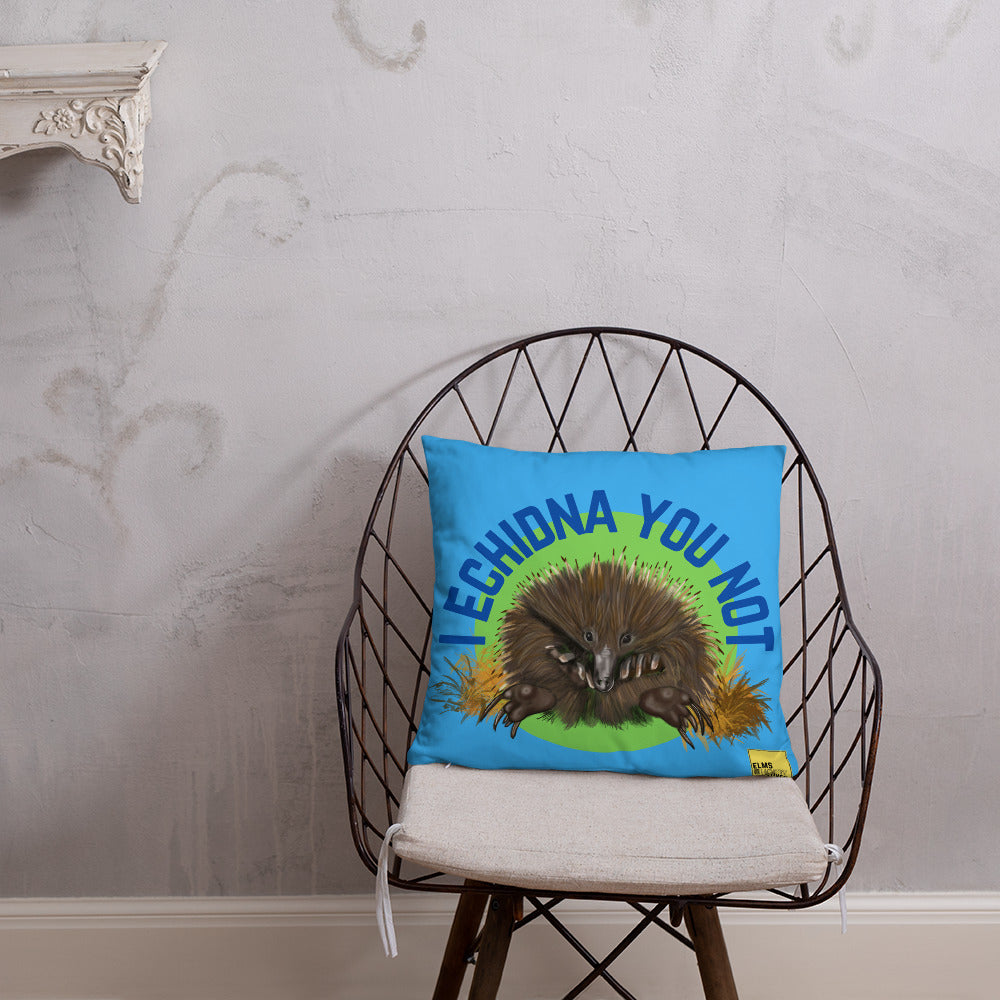 I Echidna you not - Blue Echidna Pun Cushion - ElmsCreative