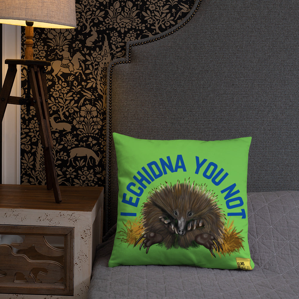 I Echidna you not - Green Echidna Pun Cushion - ElmsCreative