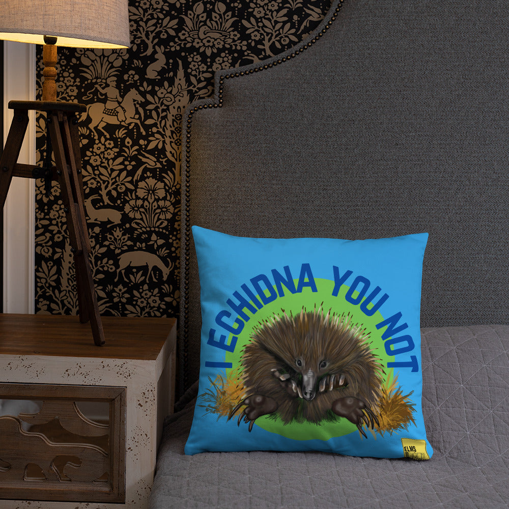 I Echidna you not - Blue Echidna Pun Cushion - ElmsCreative