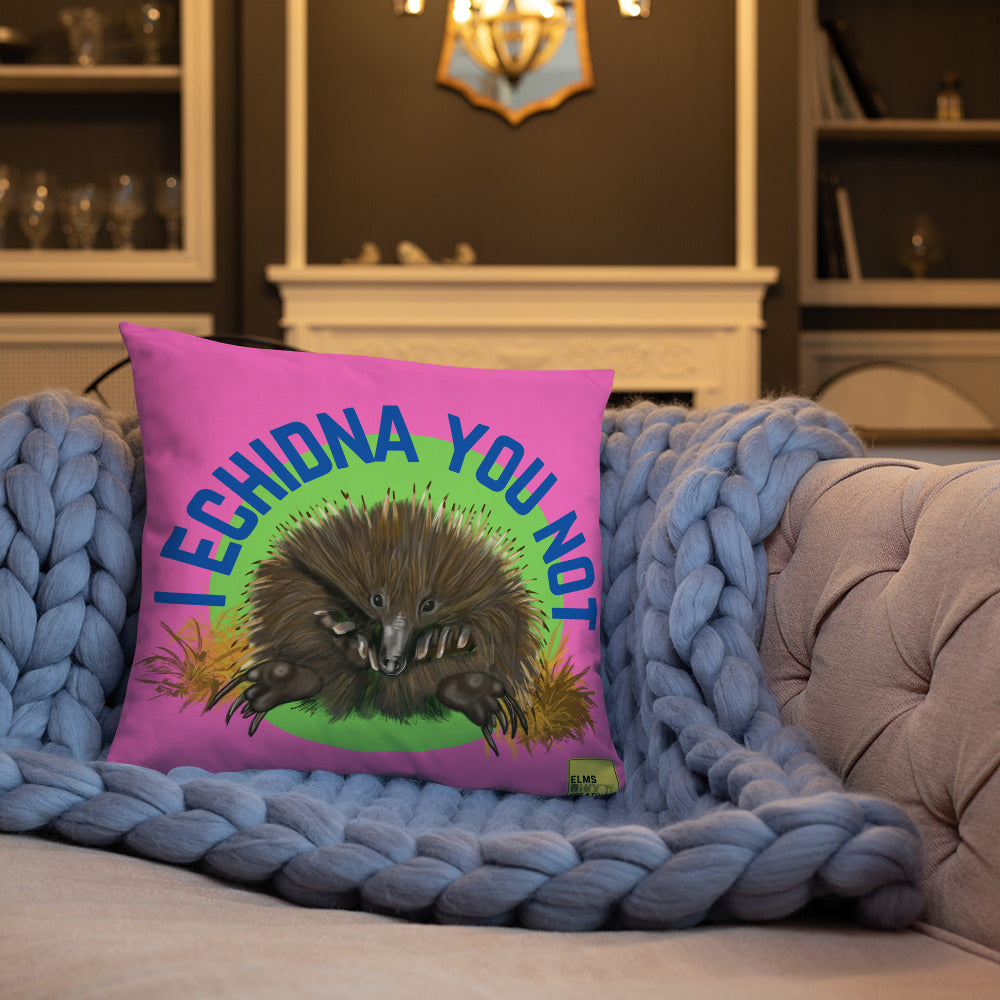 I Echidna you not - Pink Echidna Pun Cushion - ElmsCreative