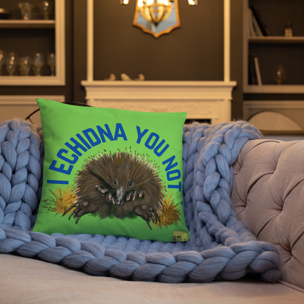 I Echidna you not - Green Echidna Pun Cushion - ElmsCreative