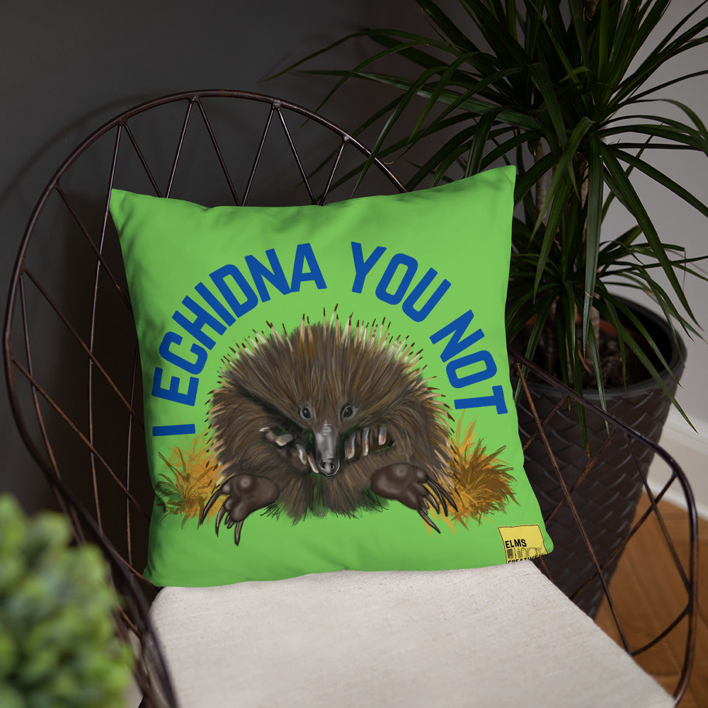 I Echidna you not - Green Echidna Pun Cushion - ElmsCreative