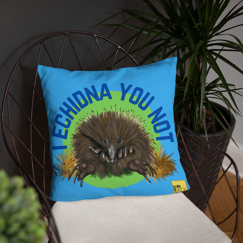 I Echidna you not - Blue Echidna Pun Cushion - ElmsCreative