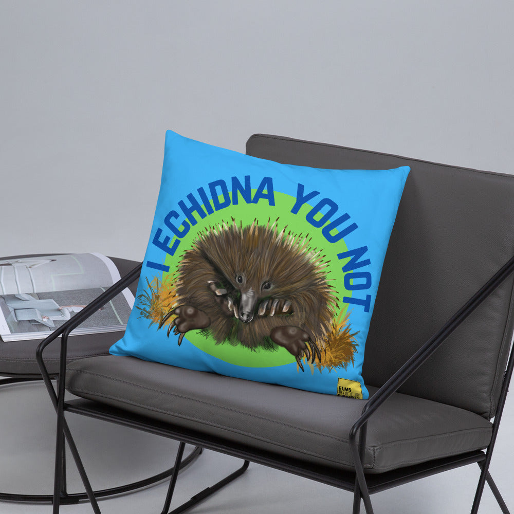 I Echidna you not - Blue Echidna Pun Cushion - ElmsCreative