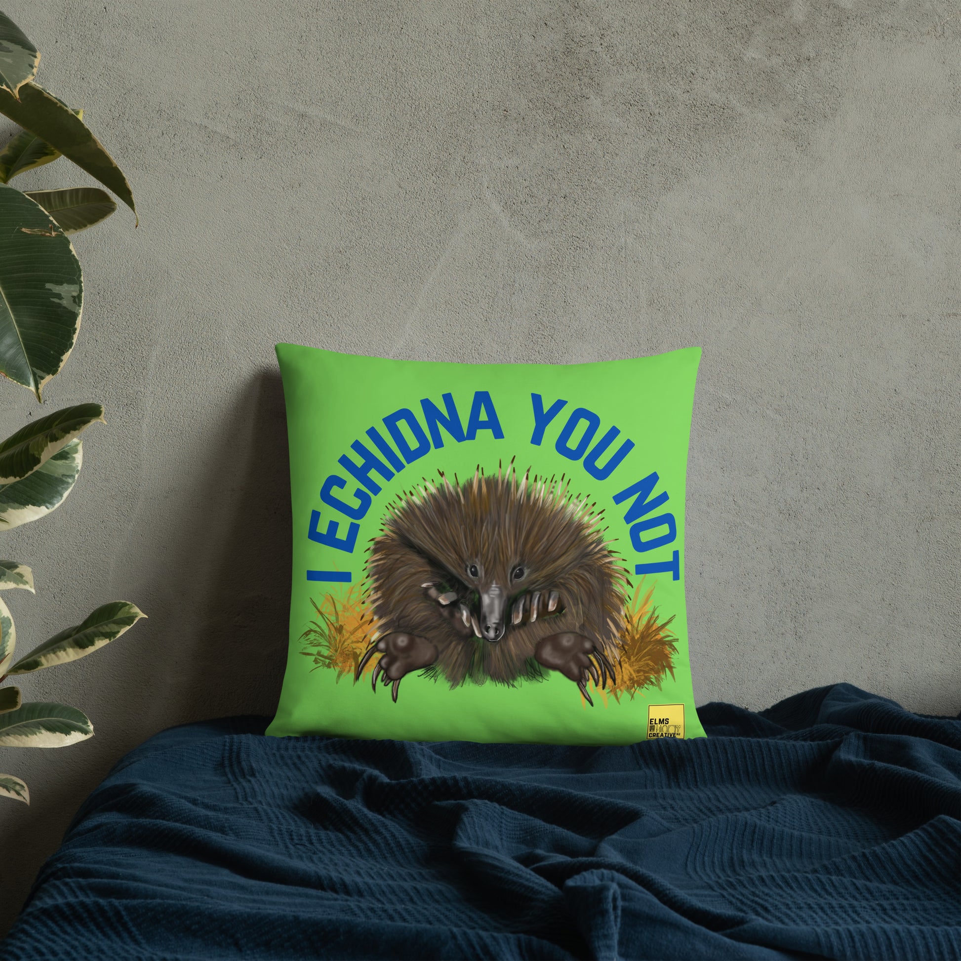 I Echidna you not - Green Echidna Pun Cushion - ElmsCreative