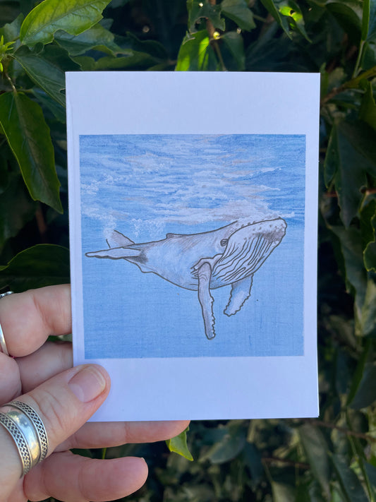 Wildlife in Pencil - Blue Whale - Blank Card - ElmsCreative