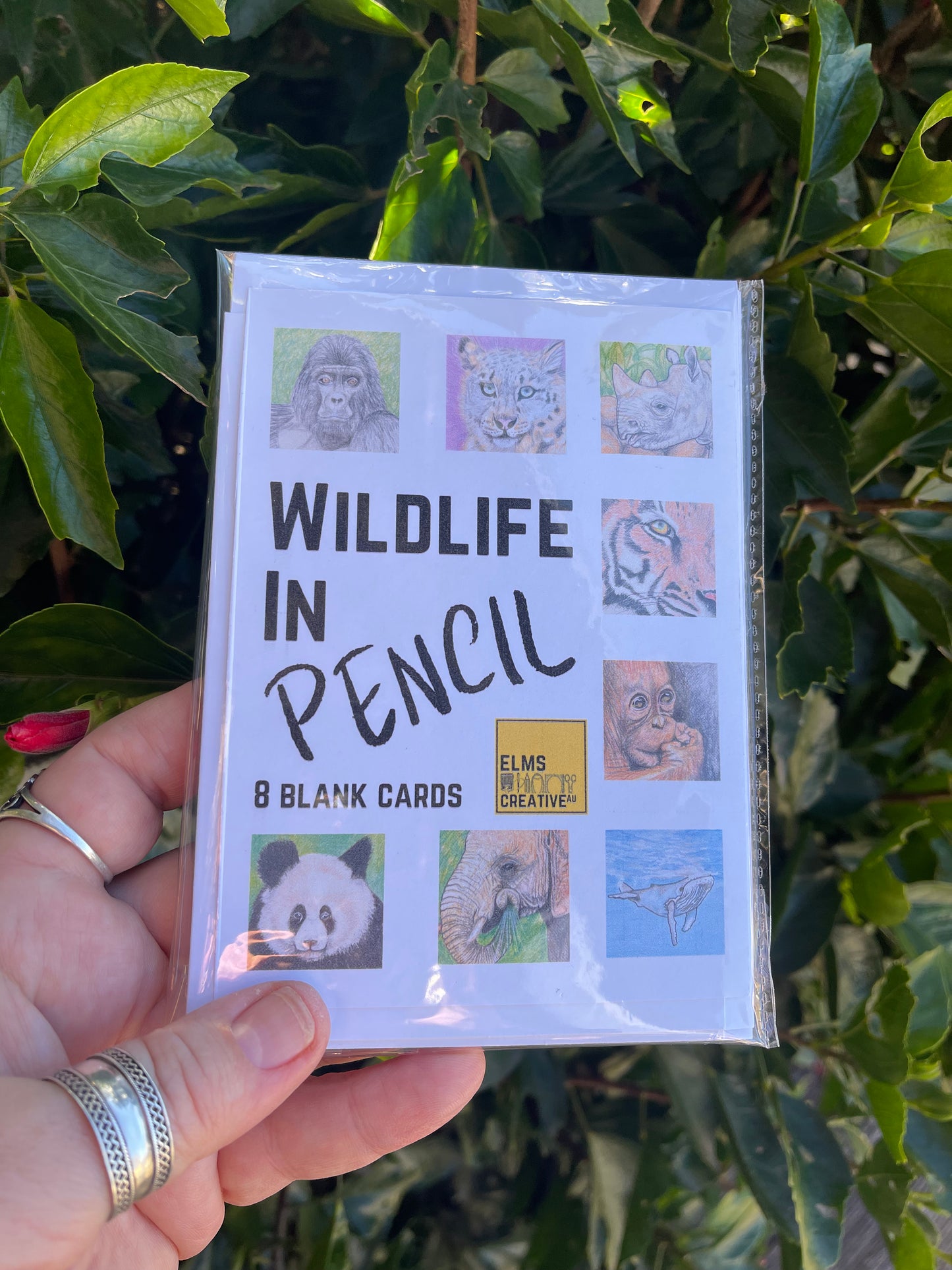 Wildlife in Pencil - Gorilla - Blank Card - ElmsCreative