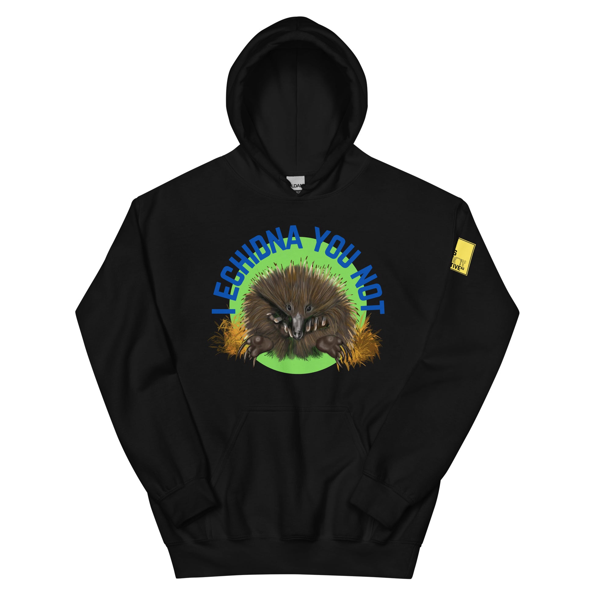 I Echidna you not - Echidna Pun Hoodie - ElmsCreative