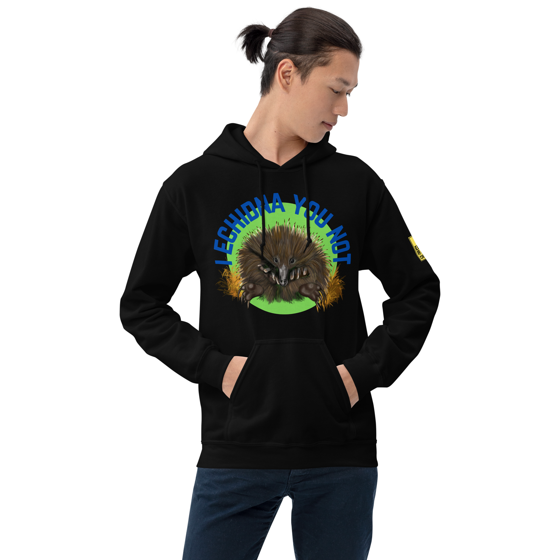 I Echidna you not - Echidna Pun Hoodie - ElmsCreative