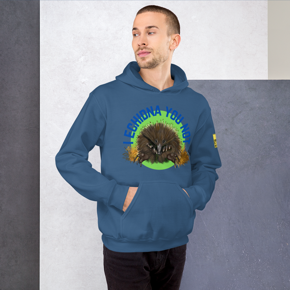 I Echidna you not - Echidna Pun Hoodie - ElmsCreative