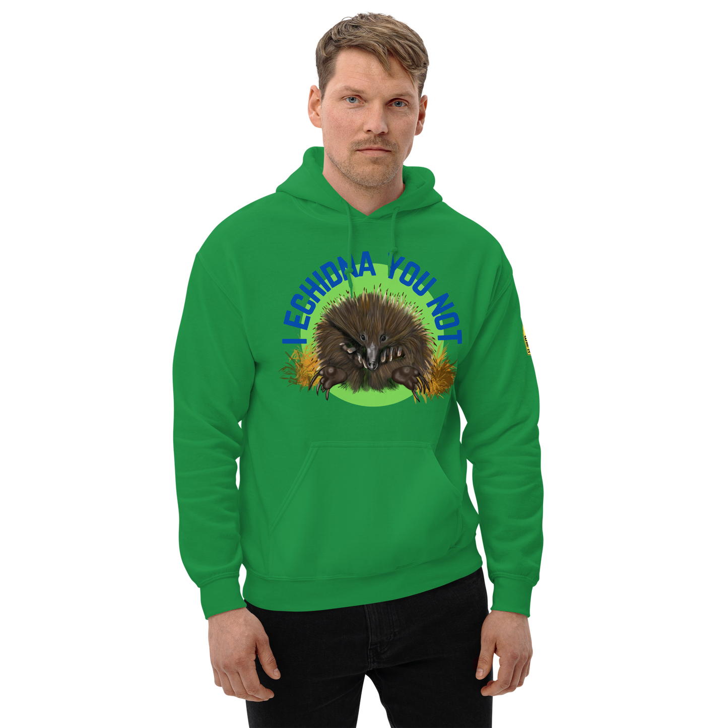 I Echidna you not - Echidna Pun Hoodie - ElmsCreative