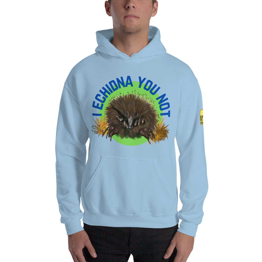 I Echidna you not - Echidna Pun Hoodie - ElmsCreative