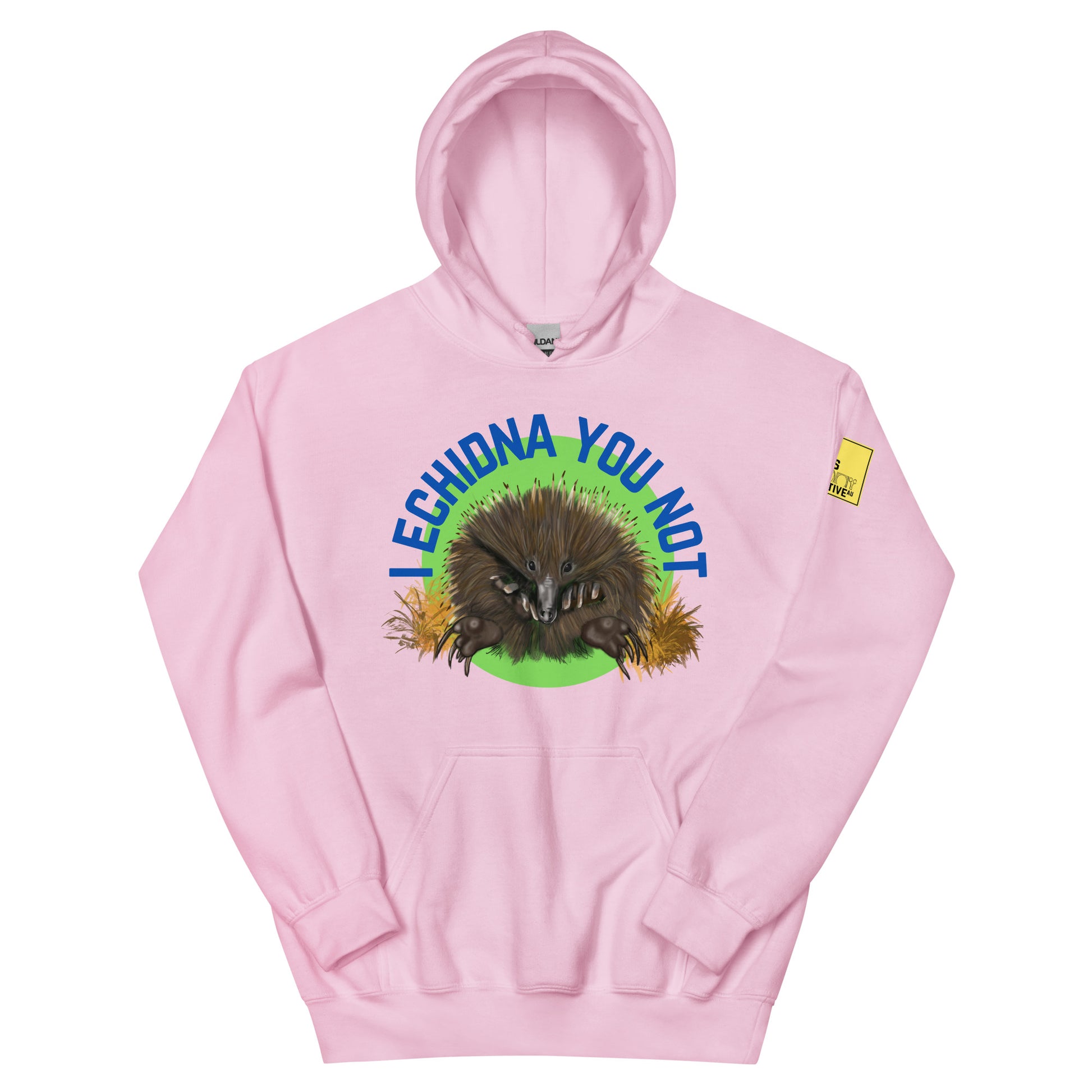 I Echidna you not - Echidna Pun Hoodie - ElmsCreative