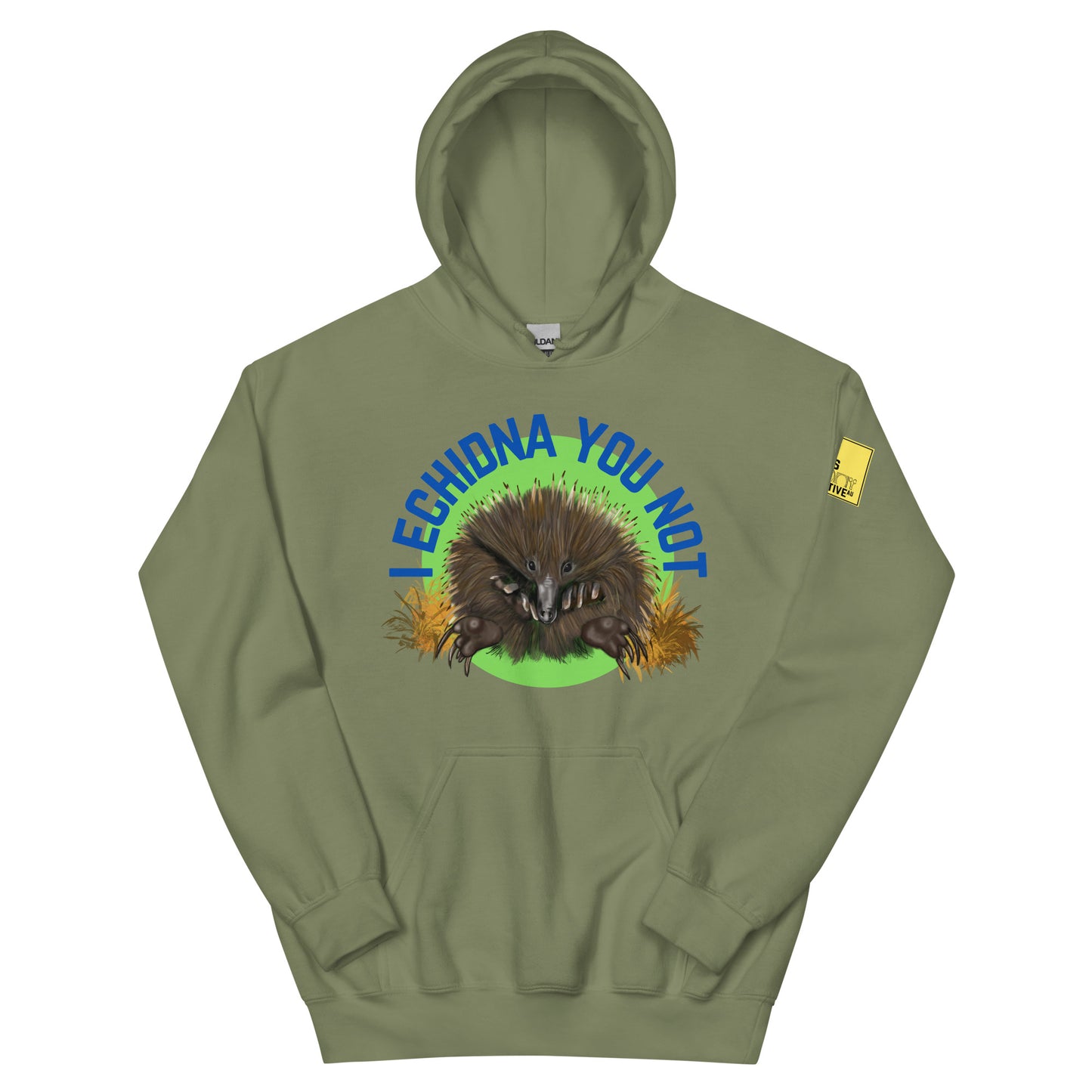 I Echidna you not - Echidna Pun Hoodie - ElmsCreative